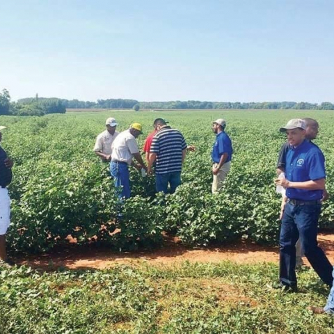 National-Black-Growers-Council-Pic.1