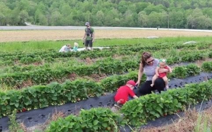 North-River-Farms