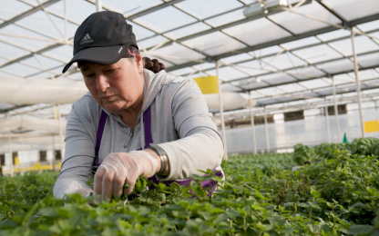 North-Shore-Greenhouses