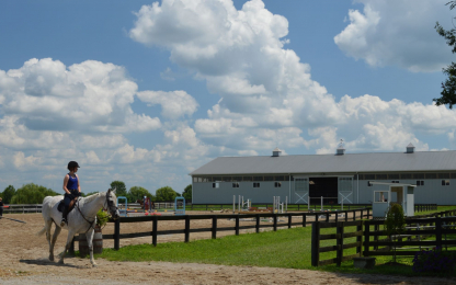 Punchestown-Stables.4