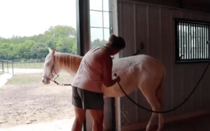 Screenshot 2025-07-11 111649