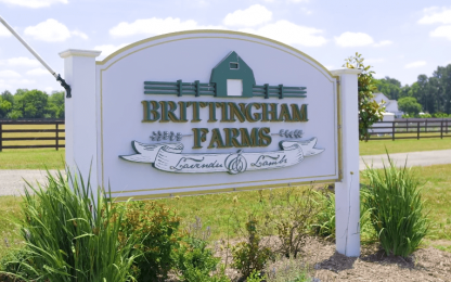 Screenshot 2025-08-21 103232