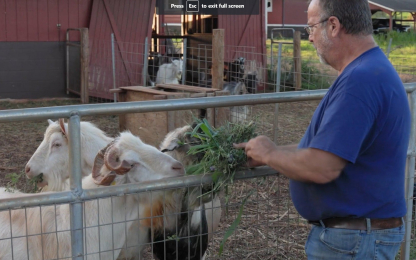 Sweet-Land-Farm