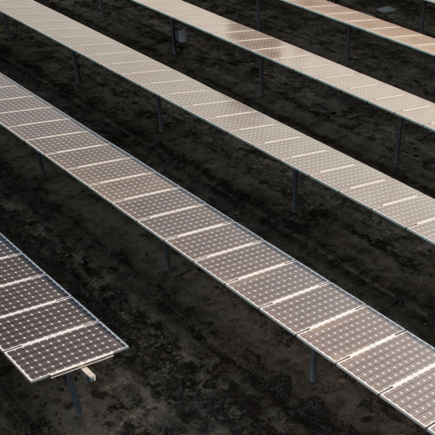 Traville_Phippen_DSC_8625