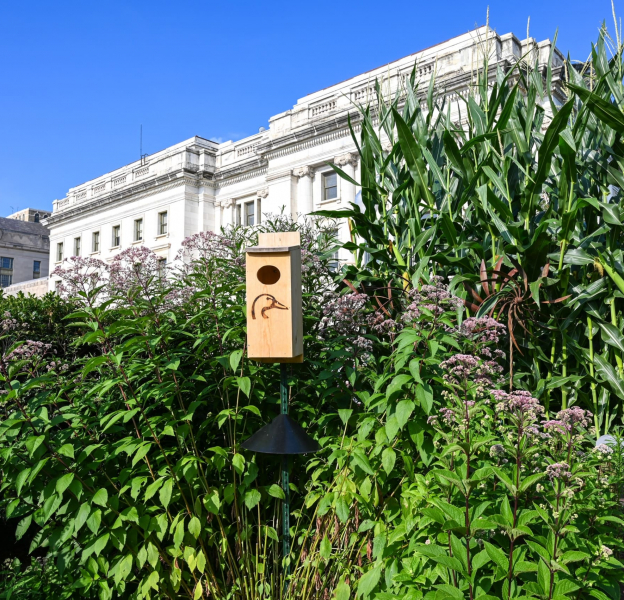 VOF-Garden-7.2020-7