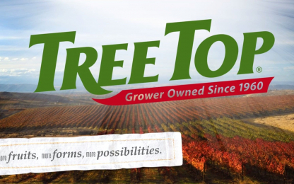 WA-Tree-Top