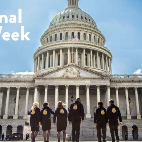 nffaweek1