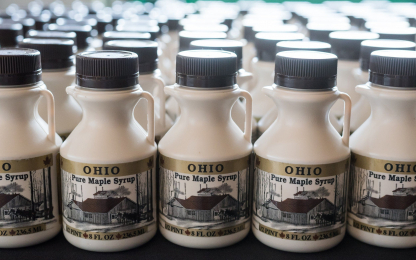 ohio-pure-maple-syrup
