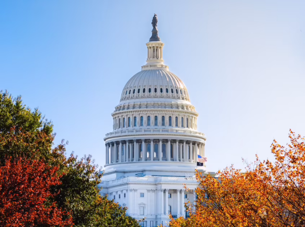 photo-1637034199786-5942ff56b480