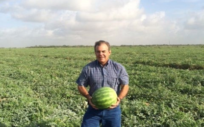 watermelon