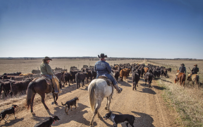 Flying W Ranch - Frontier Farm Credit